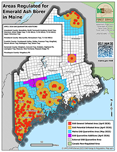 map of emerald ash borer quarantine in Maine
